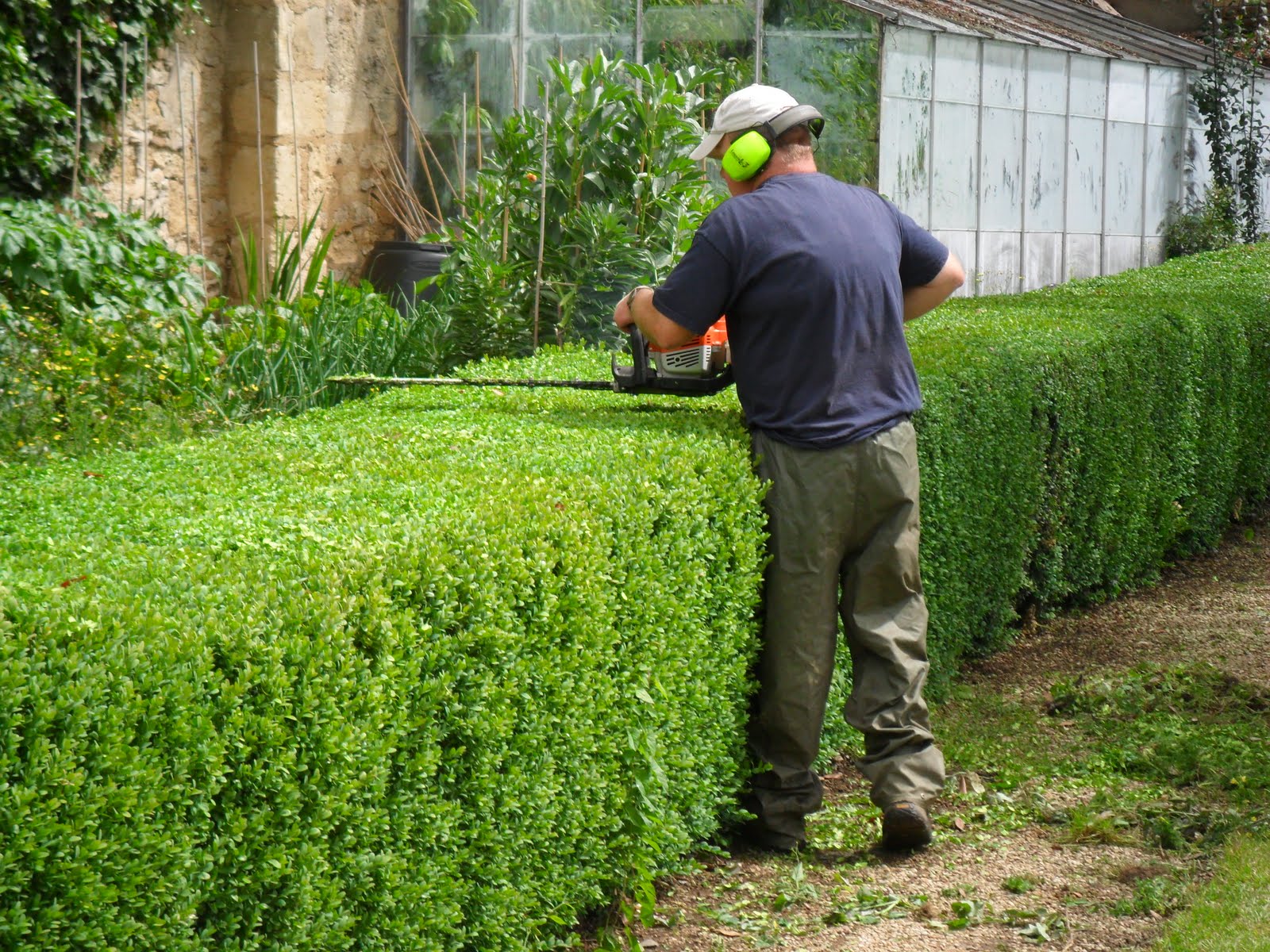 gardening